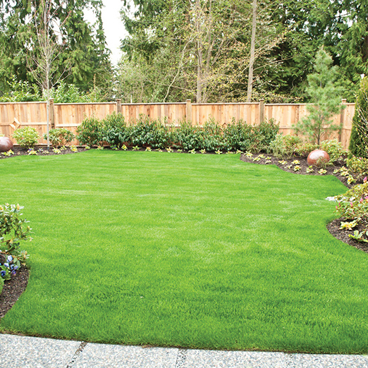 Landscaping image showing a professionally finished residential garden approach.